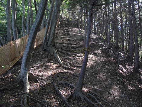 20161104hike (38)